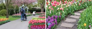 Keukenhof